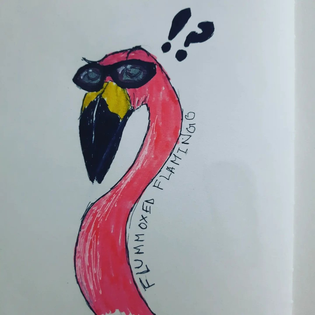 this is a picture of flummoxed flamingo